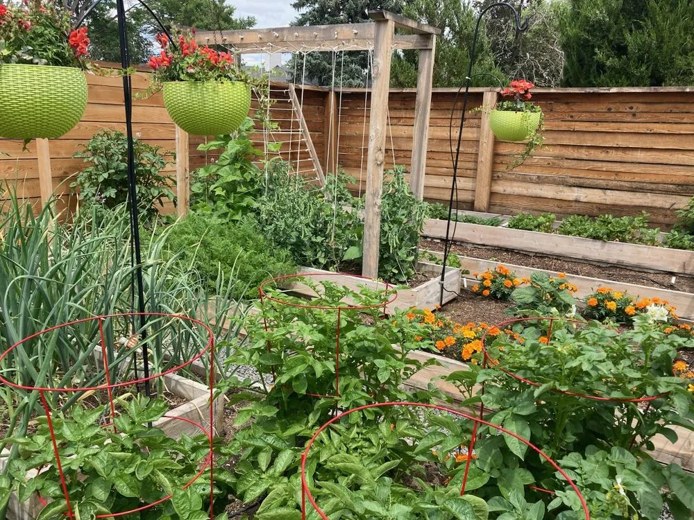 Expert landscape installation for residential properties in Denver, CO by Magnolia Landscaping