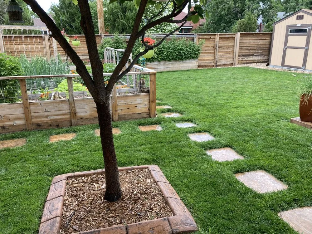 Reliable landscaping services in Denver, CO - Magnolia Landscaping