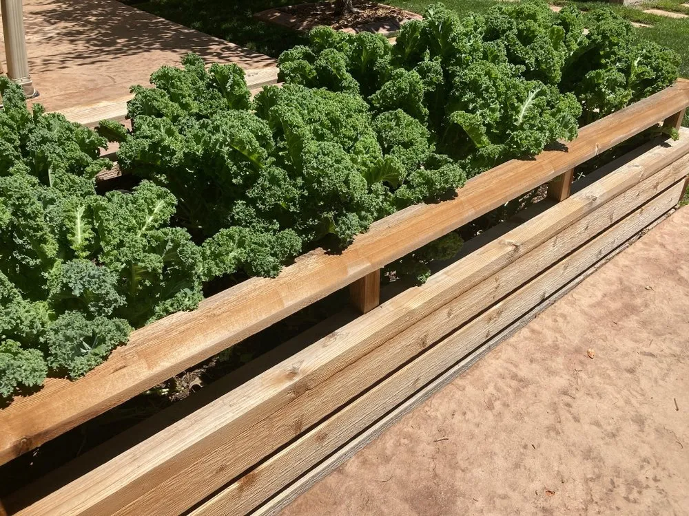 Affordable outdoor landscaping for residential properties in Denver, CO by Magnolia Landscaping