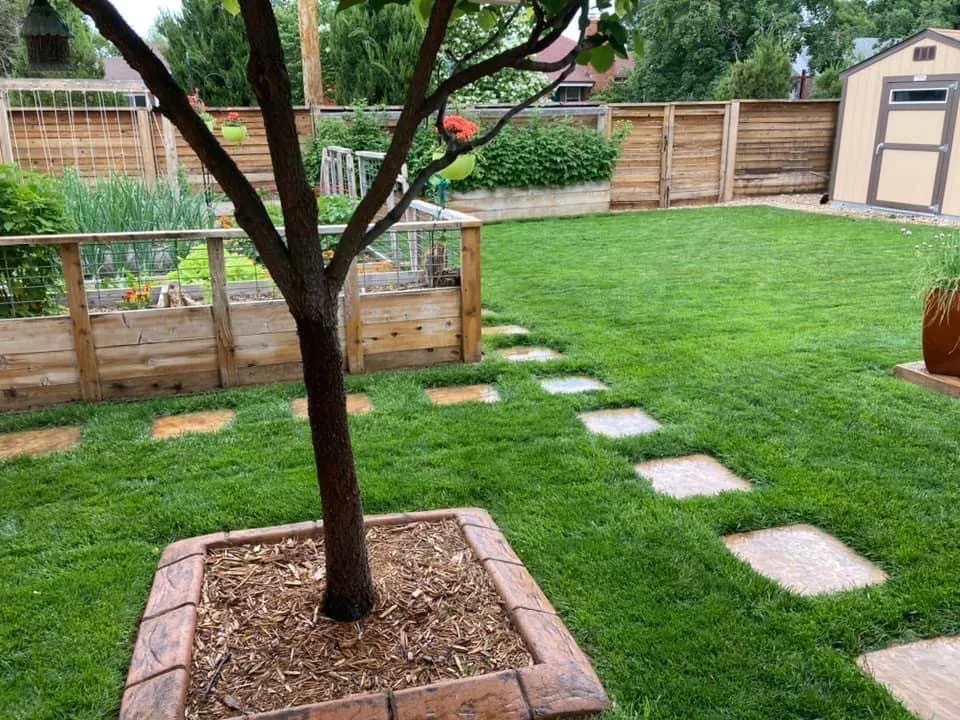 Top-rated landscape design for year-round maintenance across Denver, CO - Magnolia Landscaping