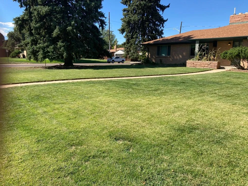 Custom lawn care service for outdoor upgrades across Denver, CO - Magnolia Landscaping