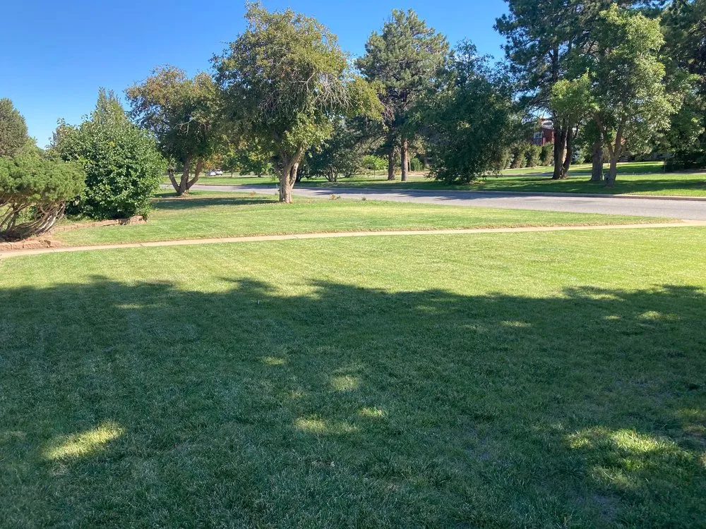 Affordable lawn care service for homes in Denver, CO by Magnolia Landscaping