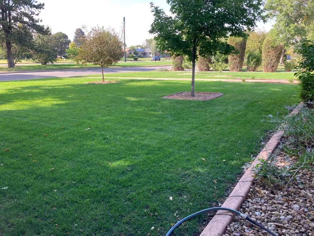 Reliable outdoor landscaping for year-round maintenance in Denver, CO by Magnolia Landscaping
