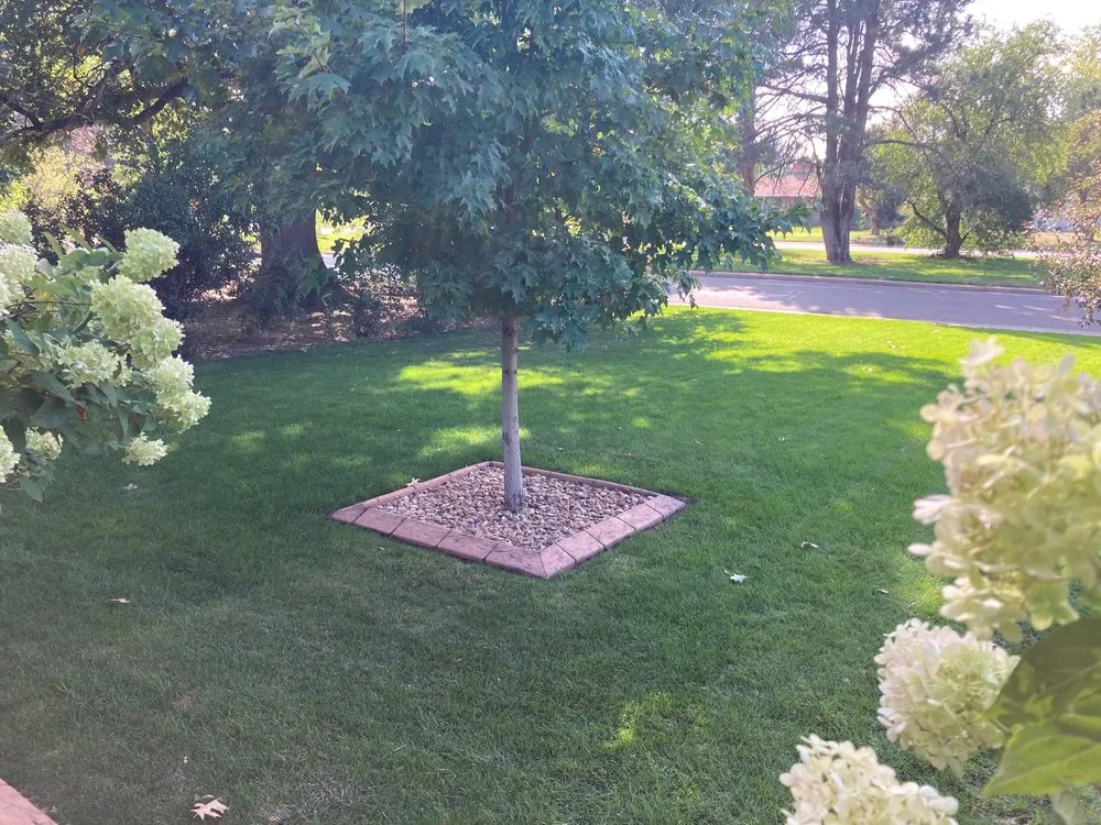 Local garden landscaping in Denver, CO - Magnolia Landscaping