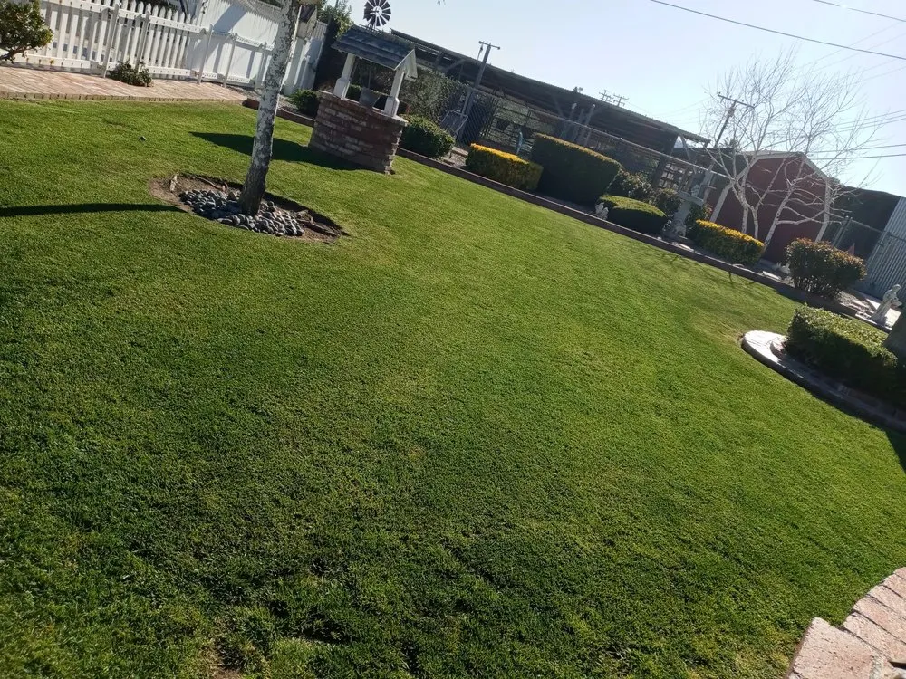 Local yard maintenance experts serving Glendora, CA - Magnolia Landscaping