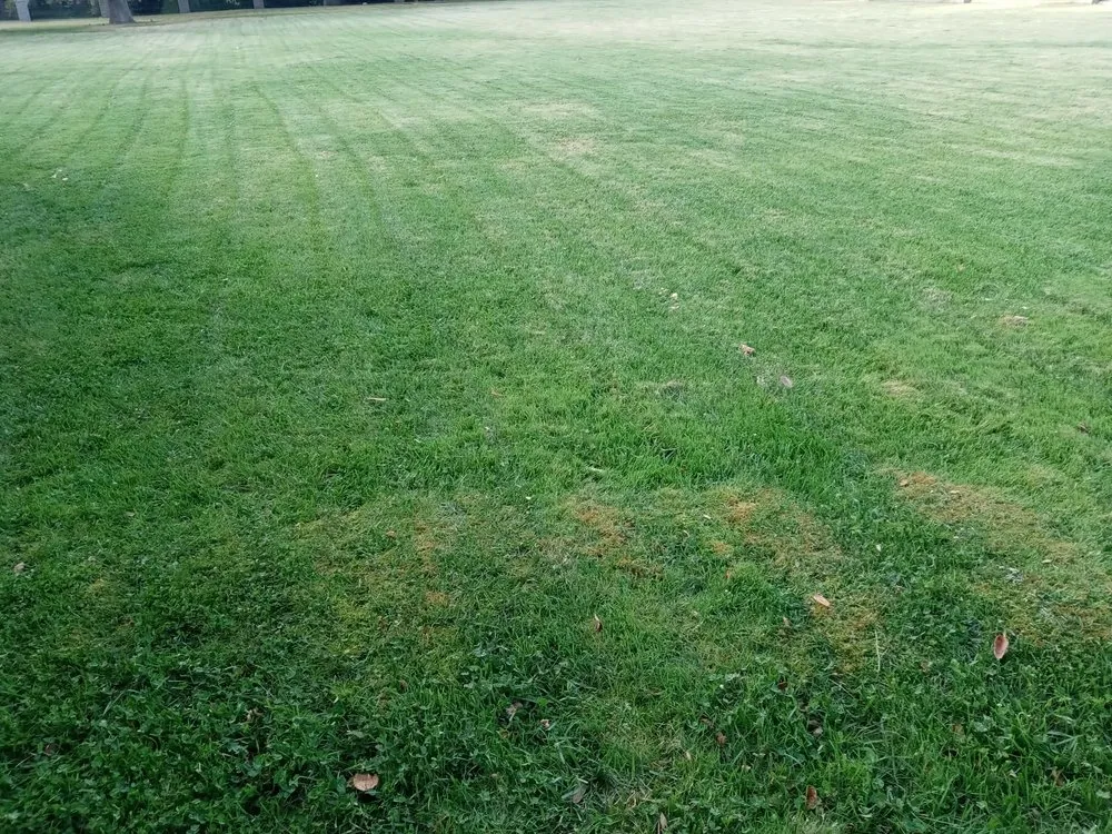 Reliable landscape design for residential properties in Glendora, CA by Magnolia Landscaping