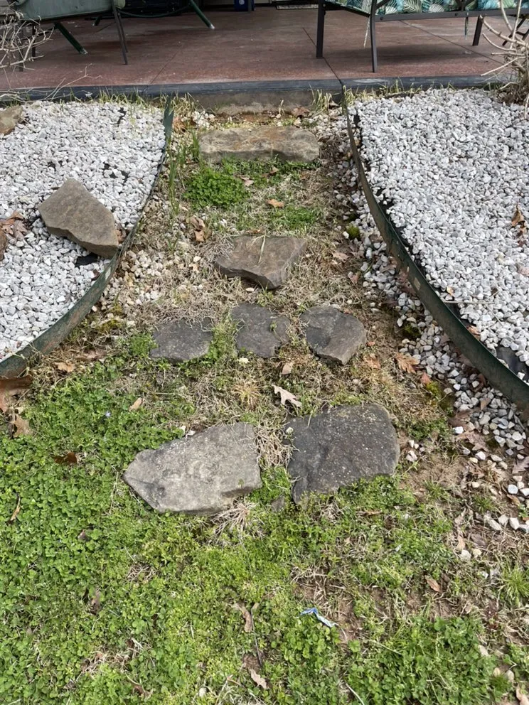 Professional yard maintenance experts serving Pea Ridge, AR - Magnolia Landscaping