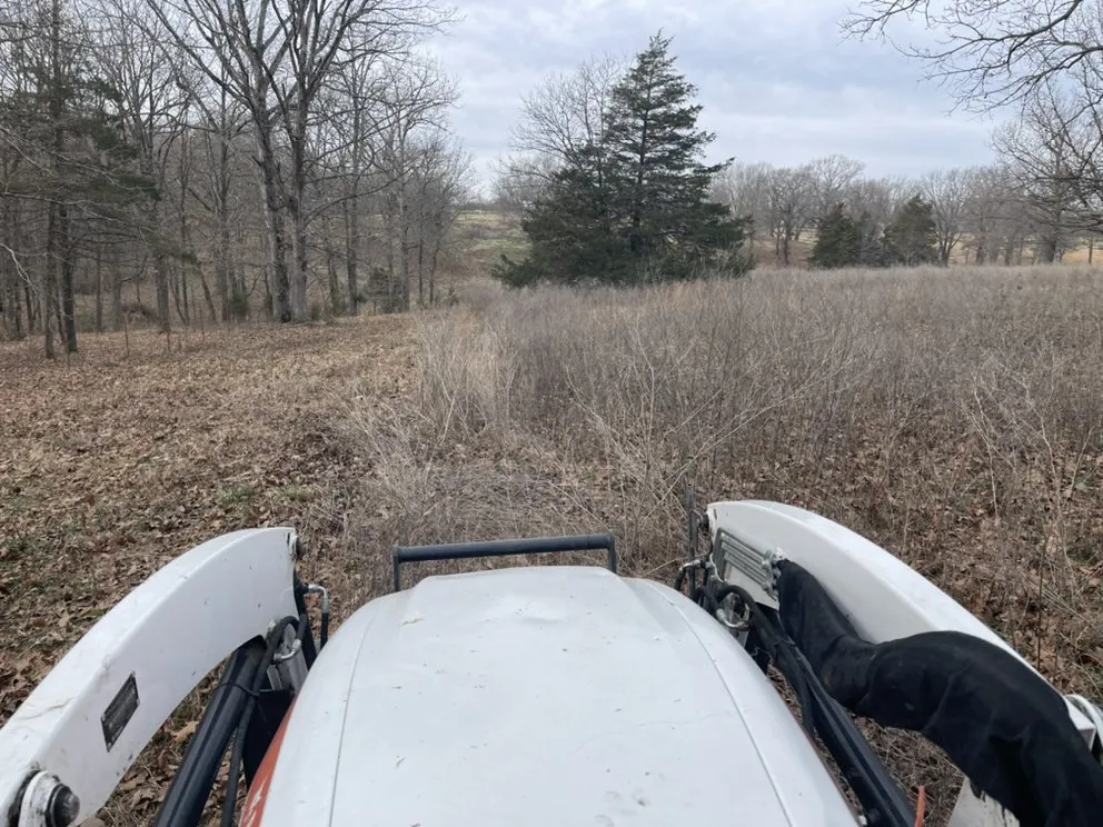 Local yard maintenance in Pea Ridge, AR - Magnolia Landscaping