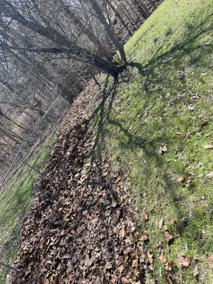 Expert landscaping services in Pea Ridge, AR - Magnolia Landscaping