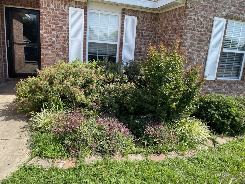 Trusted yard maintenance in Pea Ridge, AR by Magnolia Landscaping