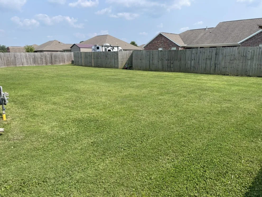Top-rated yard cleanup service in Pea Ridge, AR - Magnolia Landscaping