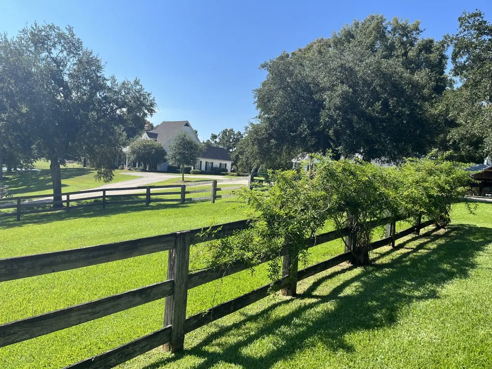 Top-rated yard maintenance near you in Theodore, AL by Magnolia Landscaping