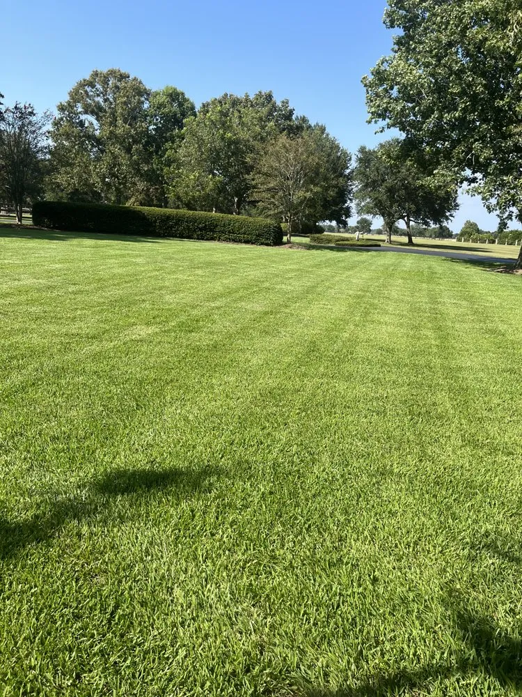 Trusted landscape installation for year-round maintenance in Theodore, AL by Magnolia Landscaping