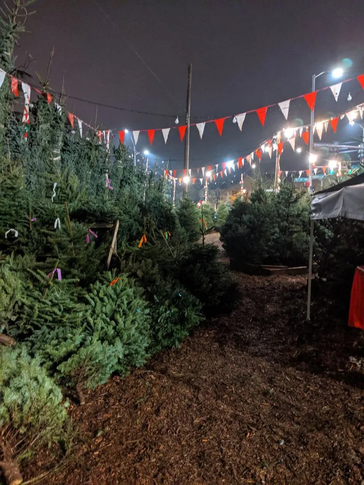 Reliable lawn care service in Seattle, WA by Magnolia Lawn & Garden Service