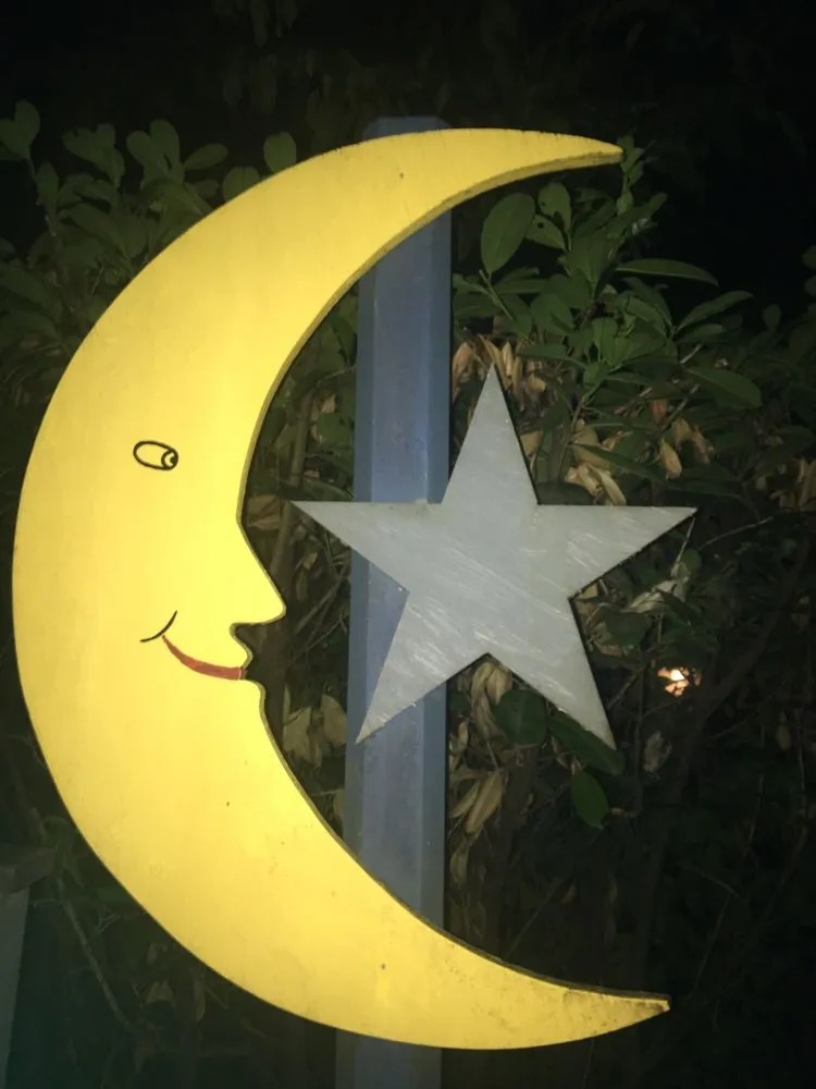 Reliable yard cleanup service for year-round maintenance across Seattle, WA - Magnolia Lawn & Garden Service