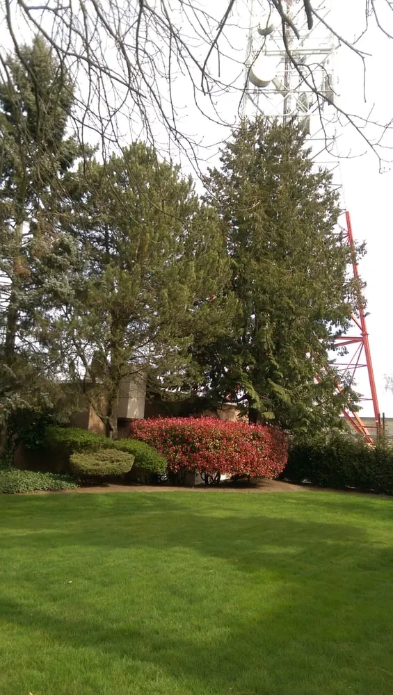 Top-rated lawn mowing service for year-round maintenance across Seattle, WA - Magnolia Lawn & Garden Service