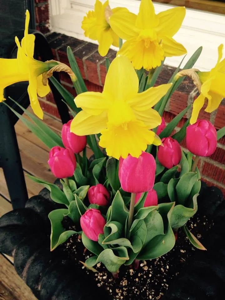 Custom residential landscaping near you in Seattle, WA by Magnolia Lawn & Garden Service