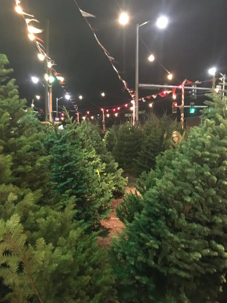 Expert lawn mowing service experts serving Seattle, WA - Magnolia Lawn & Garden Service