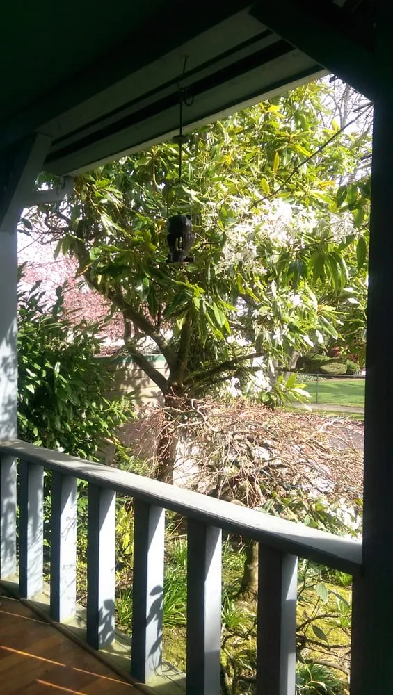 Professional landscaping services experts serving Seattle, WA - Magnolia Lawn & Garden Service