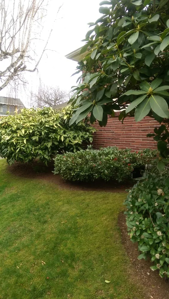 Expert residential landscaping for outdoor upgrades across Seattle, WA - Magnolia Lawn & Garden Service