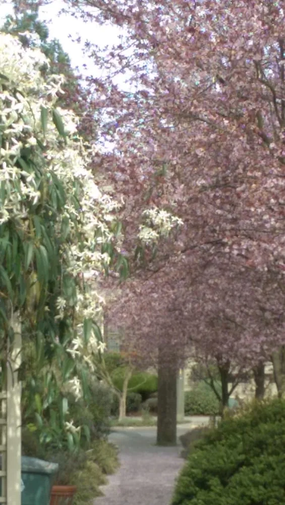 Custom lawn care service experts serving Seattle, WA - Magnolia Lawn & Garden Service