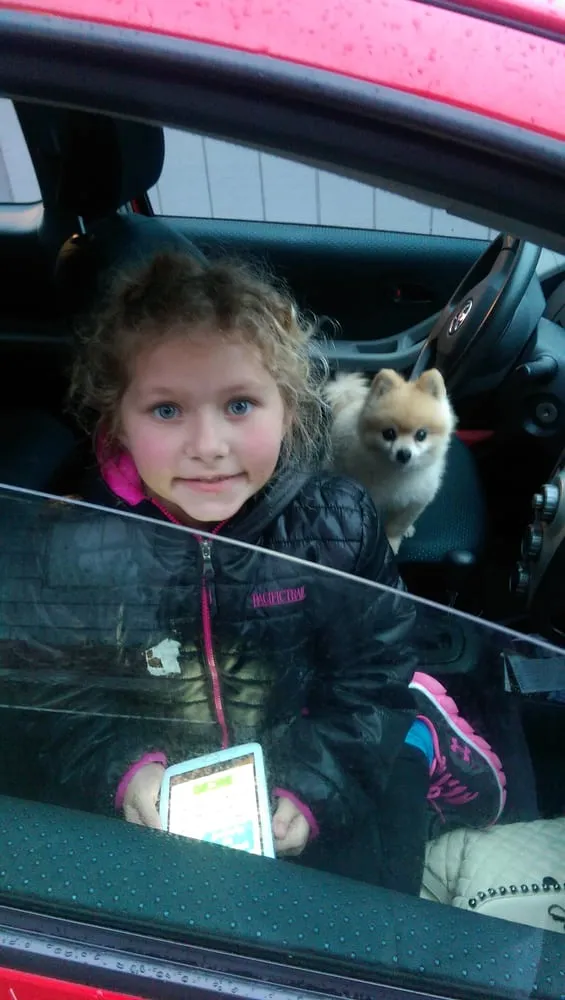 Affordable yard maintenance with custom design in Seattle, WA by Magnolia Lawn & Garden Service