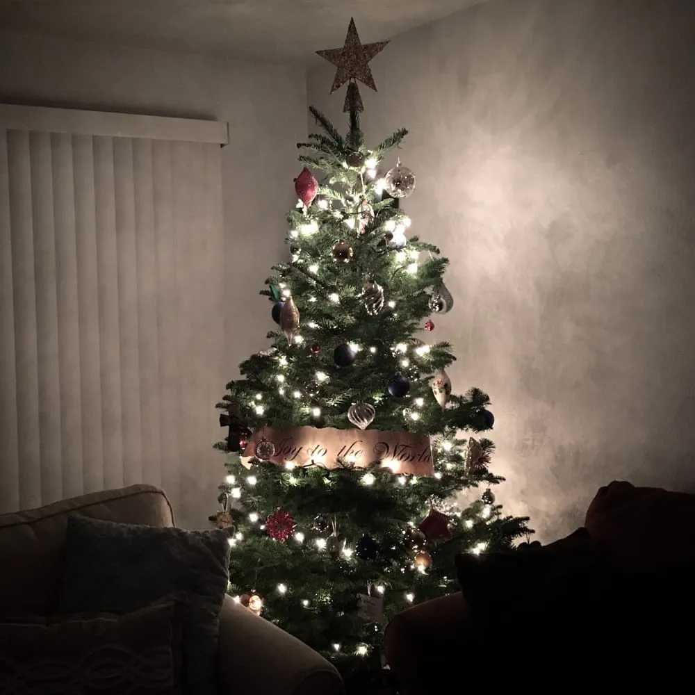 Custom outdoor landscaping near you across Seattle, WA - Magnolia Lawn & Garden Service