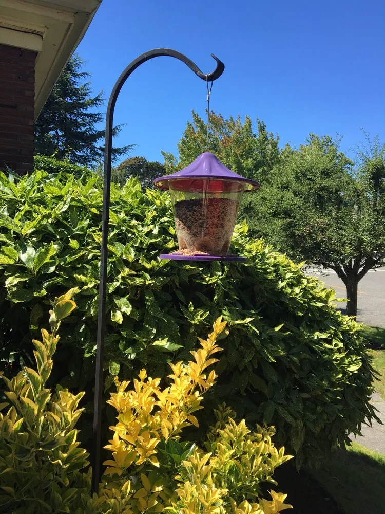 Expert yard cleanup service in Seattle, WA by Magnolia Lawn & Garden Service