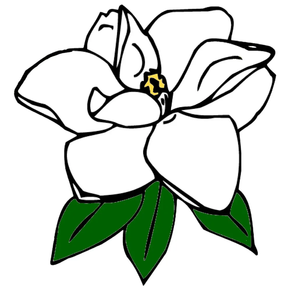 Professional landscape design in Magnolia, TX - Magnolia Lawn & Landscaping