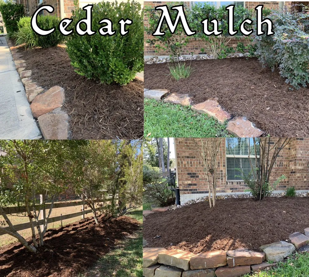 Reliable lawn care service for homes in Magnolia, TX by Magnolia Lawn & Landscaping