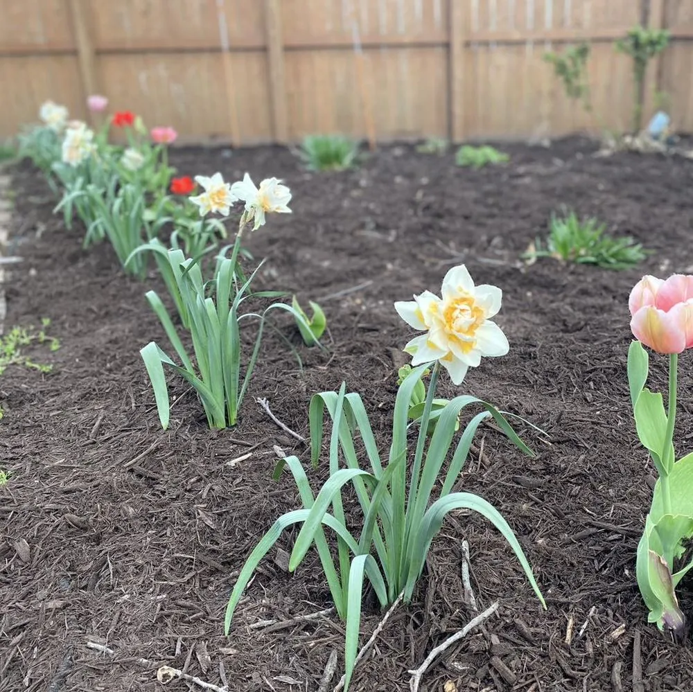 Trusted garden landscaping in Bloomington, IL - Magnolia Lawn Care