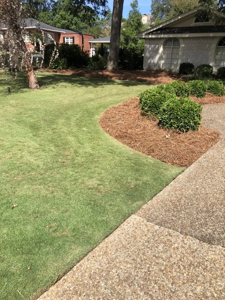 Expert yard maintenance experts serving Buena Vista, GA - Magnolia Lawn Care