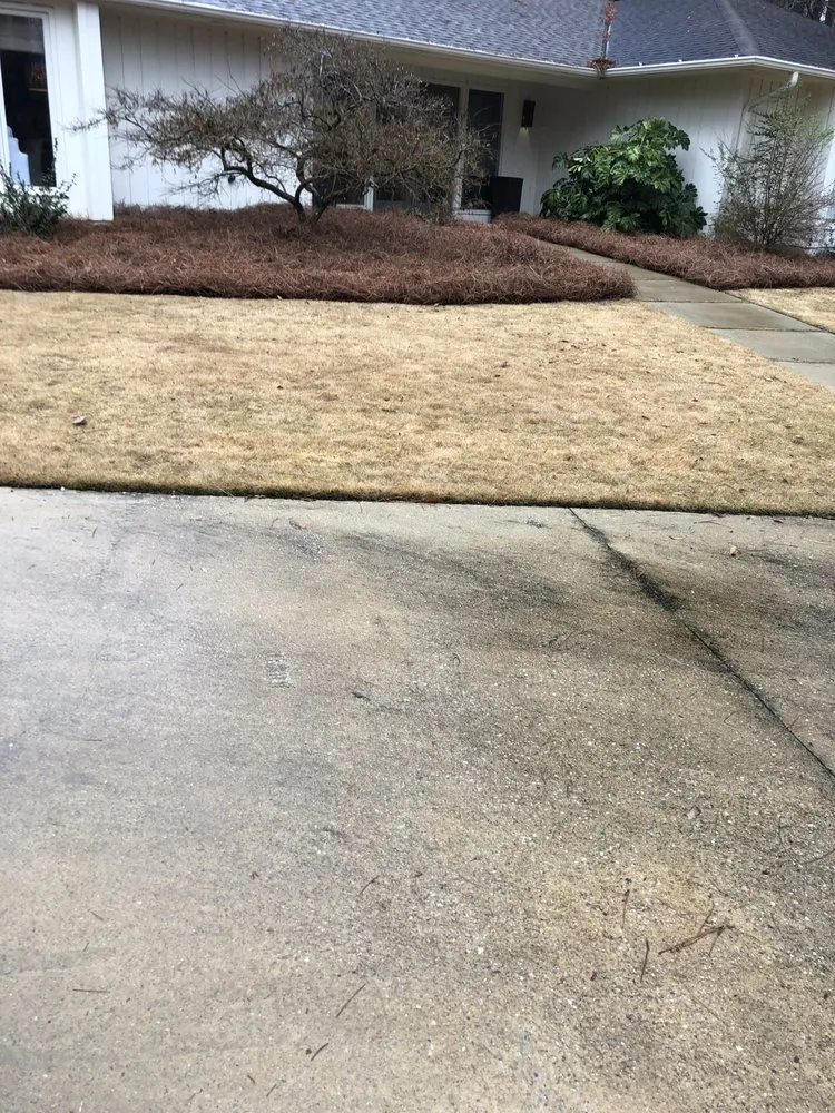 Expert residential landscaping for residential properties in Buena Vista, GA by Magnolia Lawn Care