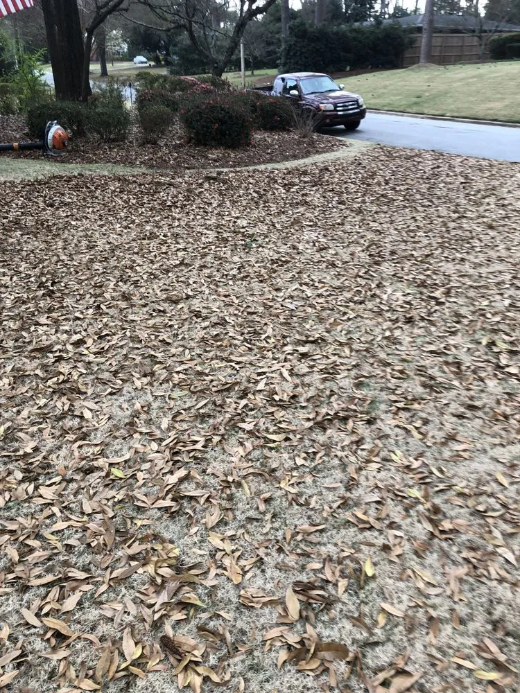 Top-rated residential landscaping for homes in Buena Vista, GA by Magnolia Lawn Care