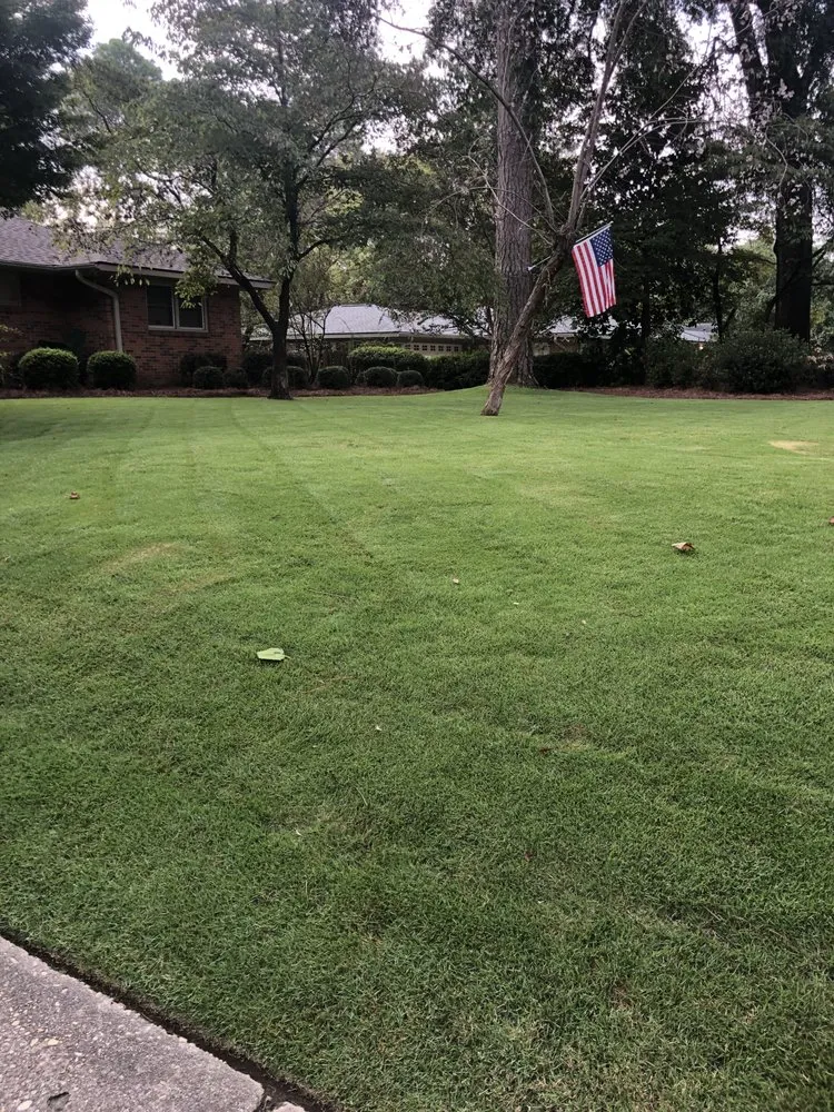 Expert yard cleanup service in Buena Vista, GA by Magnolia Lawn Care