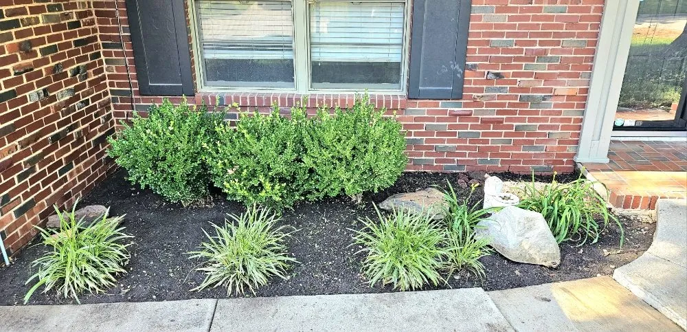 Custom lawn care service near you in Oklahoma City, OK by Magnolia Lawn Care