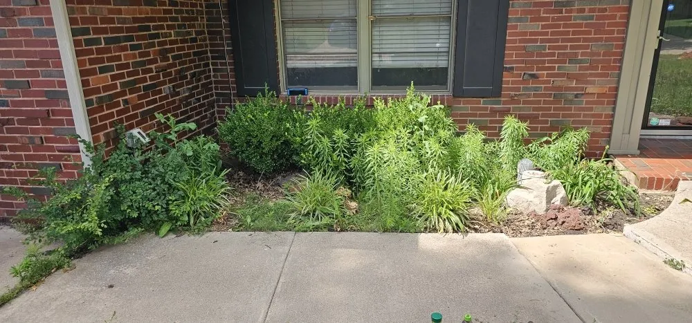 Affordable residential landscaping near you in Oklahoma City, OK by Magnolia Lawn Care