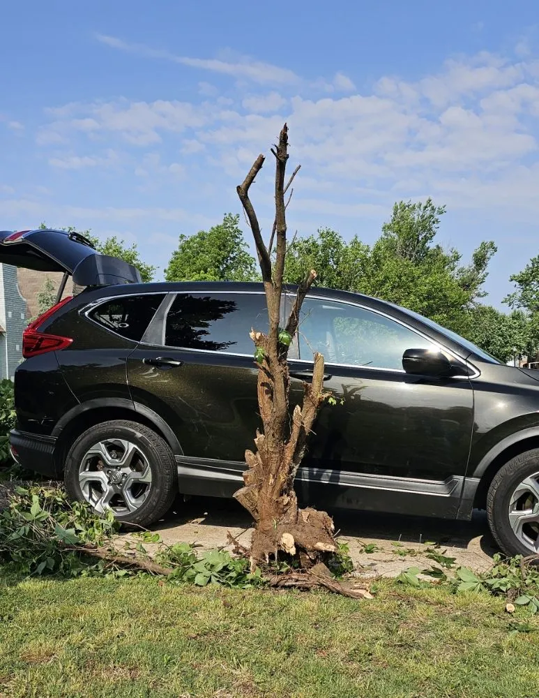 Top-rated lawn mowing service near you in Oklahoma City, OK by Magnolia Lawn Care