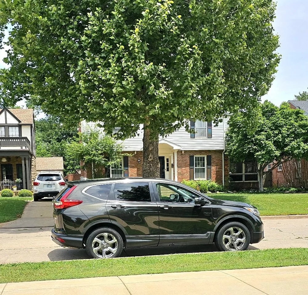 Trusted outdoor landscaping in Oklahoma City, OK - Magnolia Lawn Care