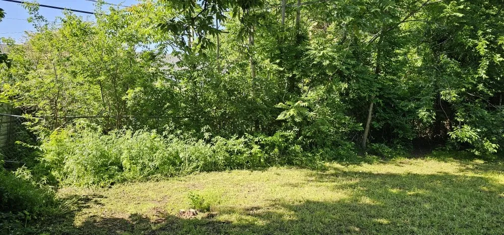 Trusted landscaping services in Oklahoma City, OK by Magnolia Lawn Care