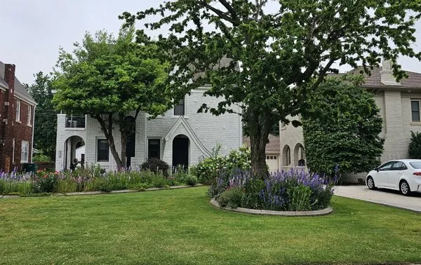 Magnolia Lawn Care Logo