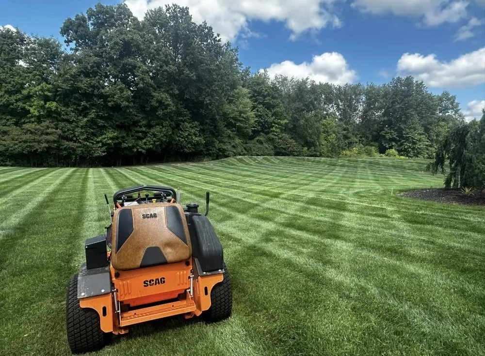 Expert yard maintenance in Ozark, AL - Magnolia Lawn Care