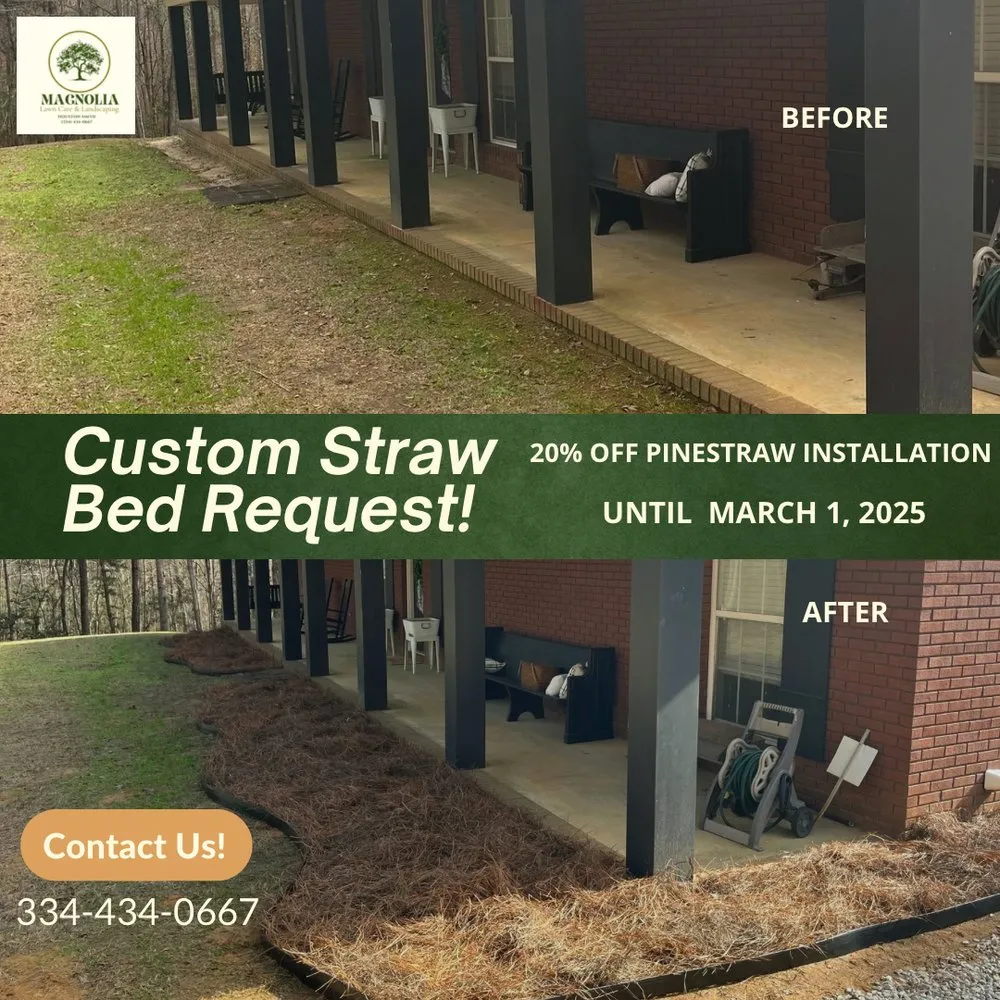 Custom lawn mowing service for year-round maintenance across Ozark, AL - Magnolia Lawn Care