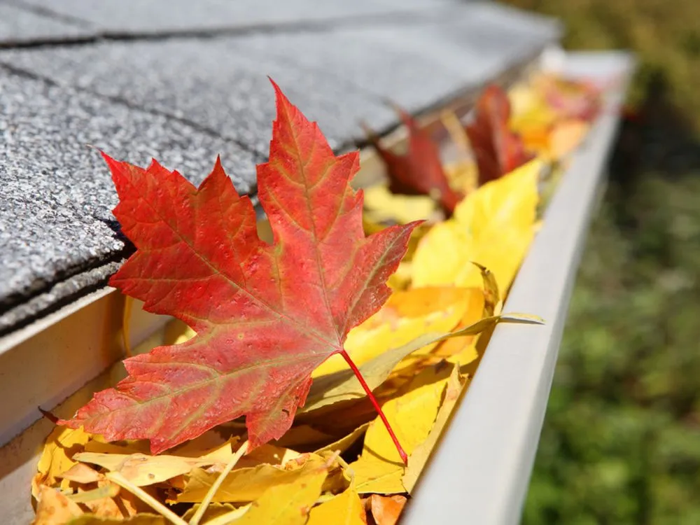 Top-rated residential landscaping for beautiful yards in St Cloud, MN by Magnolia Lawn Care