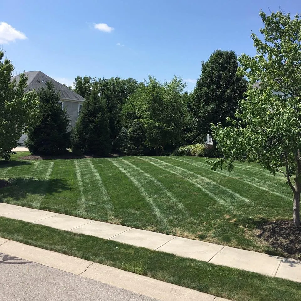 Custom lawn mowing service experts serving St Cloud, MN - Magnolia Lawn Care