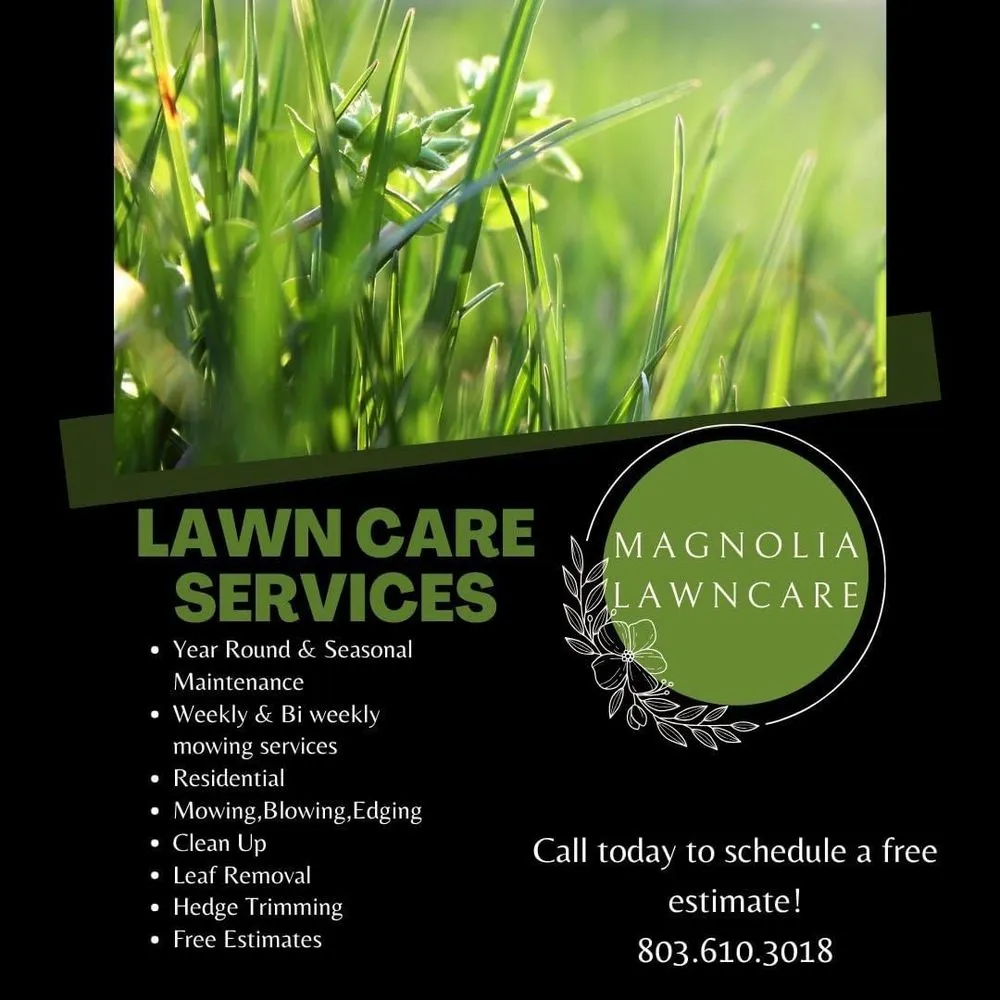 Reliable yard cleanup service in Clover, SC by Magnolia Lawncare