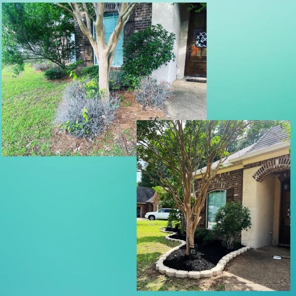 Affordable yard cleanup service in Crystal Springs, MS - Magnolia Lawns & More