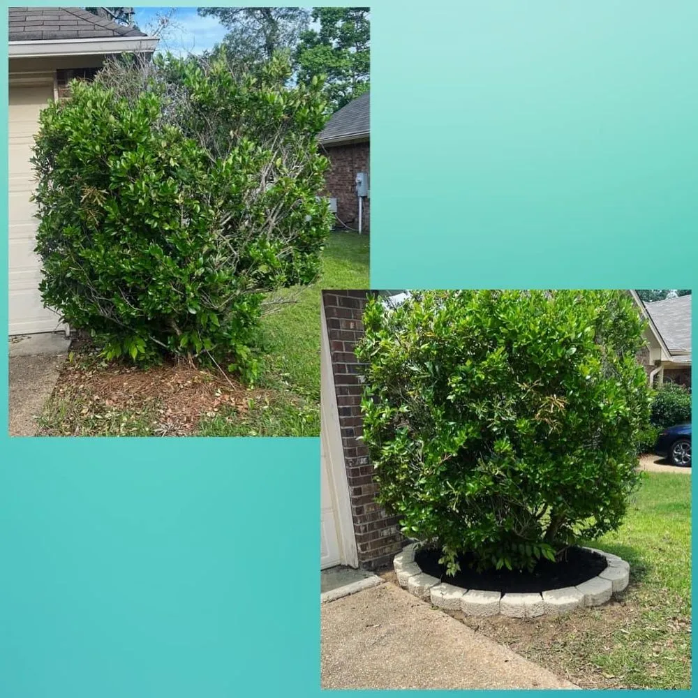 Reliable yard maintenance for homes across Crystal Springs, MS - Magnolia Lawns & More