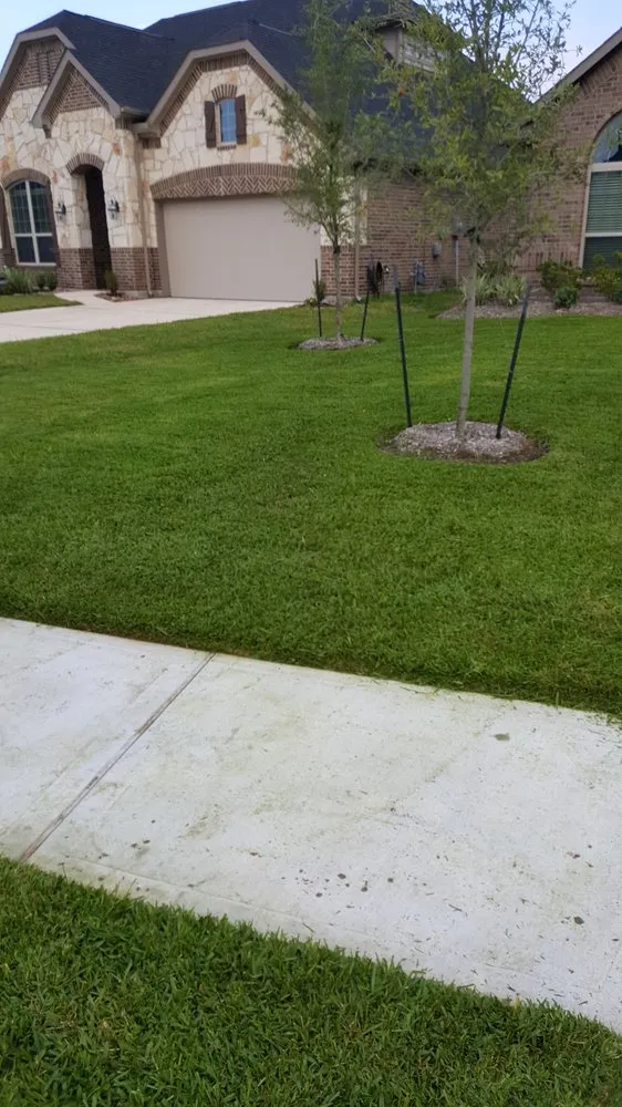 Top-rated landscaping services in Magnolia, TX - Magnolia Lawns