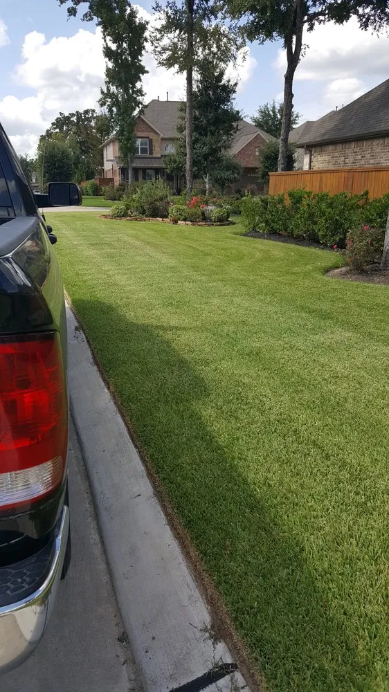 Top-rated yard maintenance for homes in Magnolia, TX by Magnolia Lawns